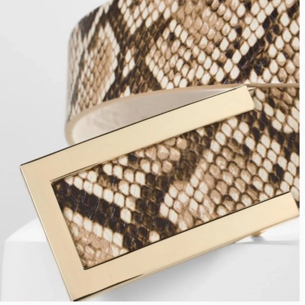 White House Black Market whbm belt